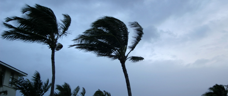 Helping you with Natural Disaster and Hurricane Property Damage Claims in Orlando